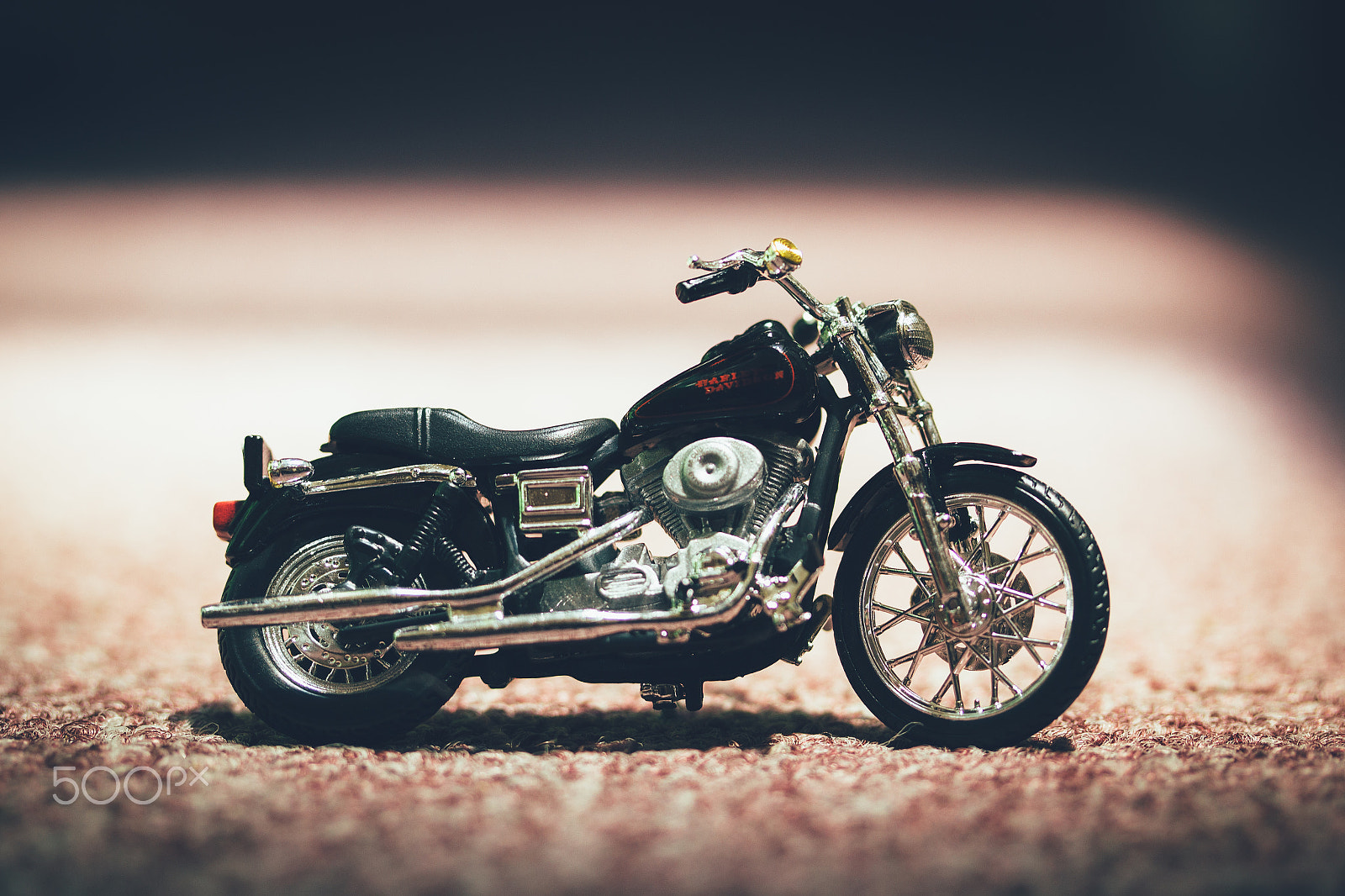 Canon EF-S 60mm F2.8 Macro USM sample photo. Easy rider photography