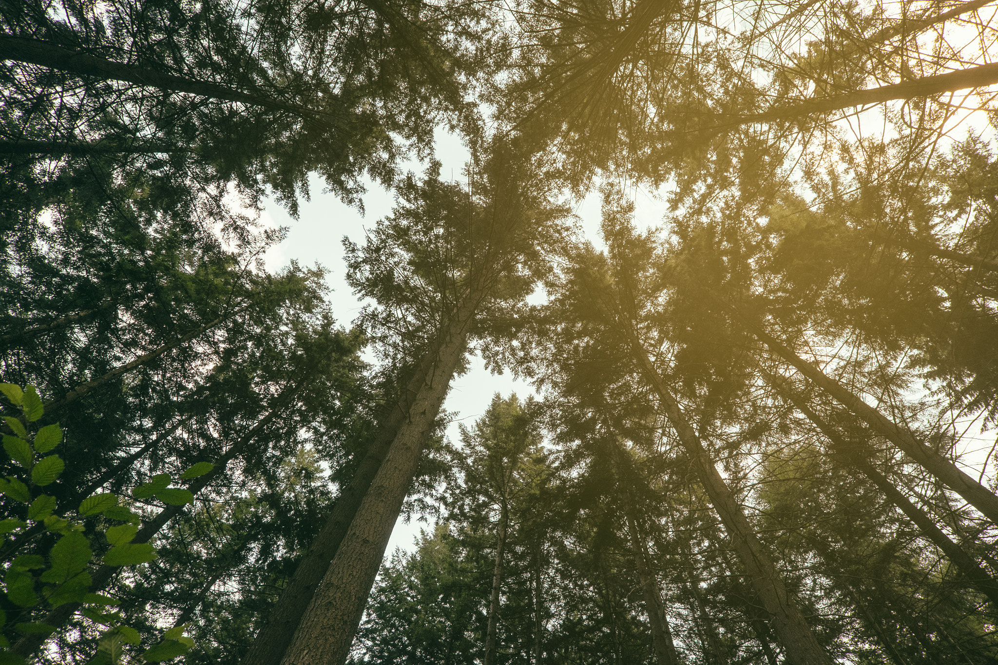 Fujifilm X-T1 + ZEISS Touit 12mm F2.8 sample photo. The revenant sur isère photography