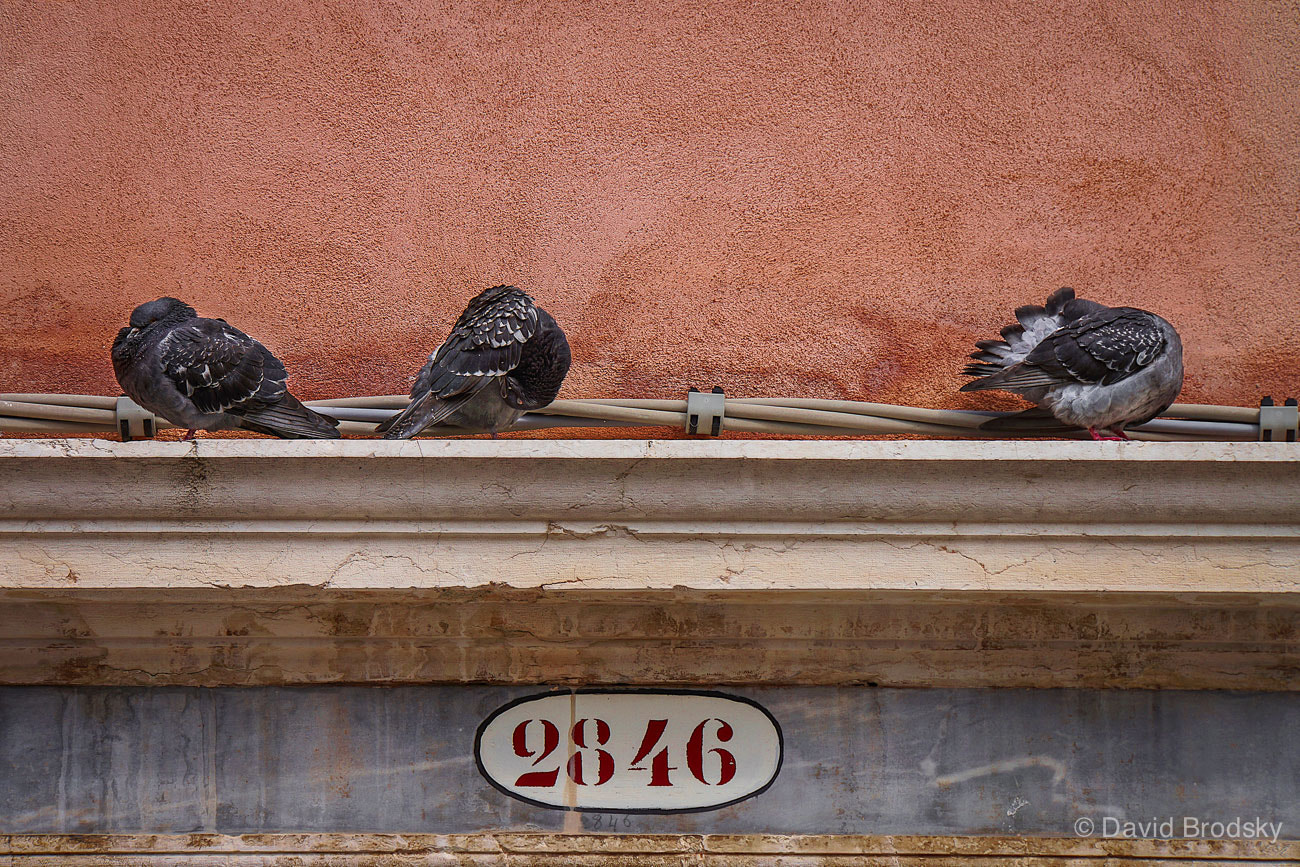 Sony E 18-200mm F3.5-6.3 OSS LE sample photo. Venice 2846 photography