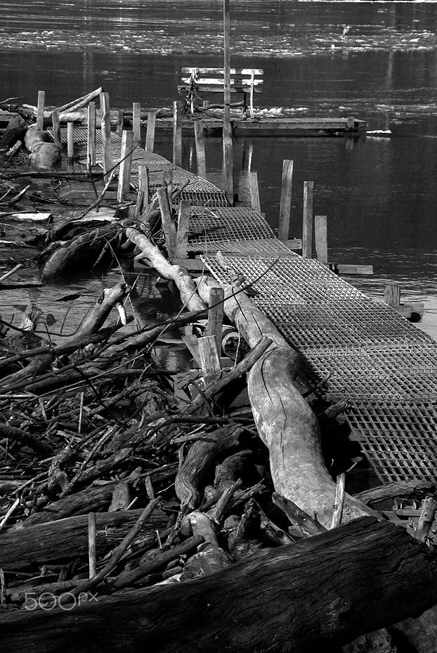 Nikon E4500 sample photo. The old dock photography