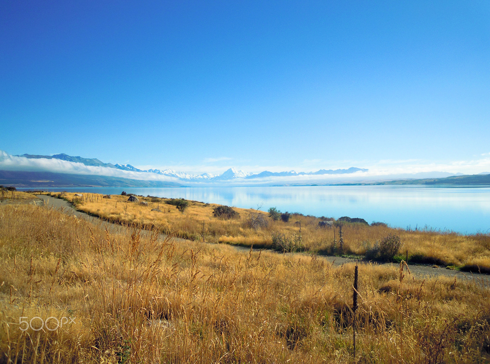 Nikon Coolpix S5100 sample photo. Mount cook photography