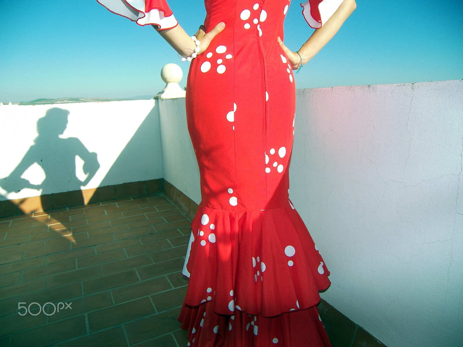 Kodak P880 ZOOM DIGITAL CAMERA sample photo. Flamenca shadow photography