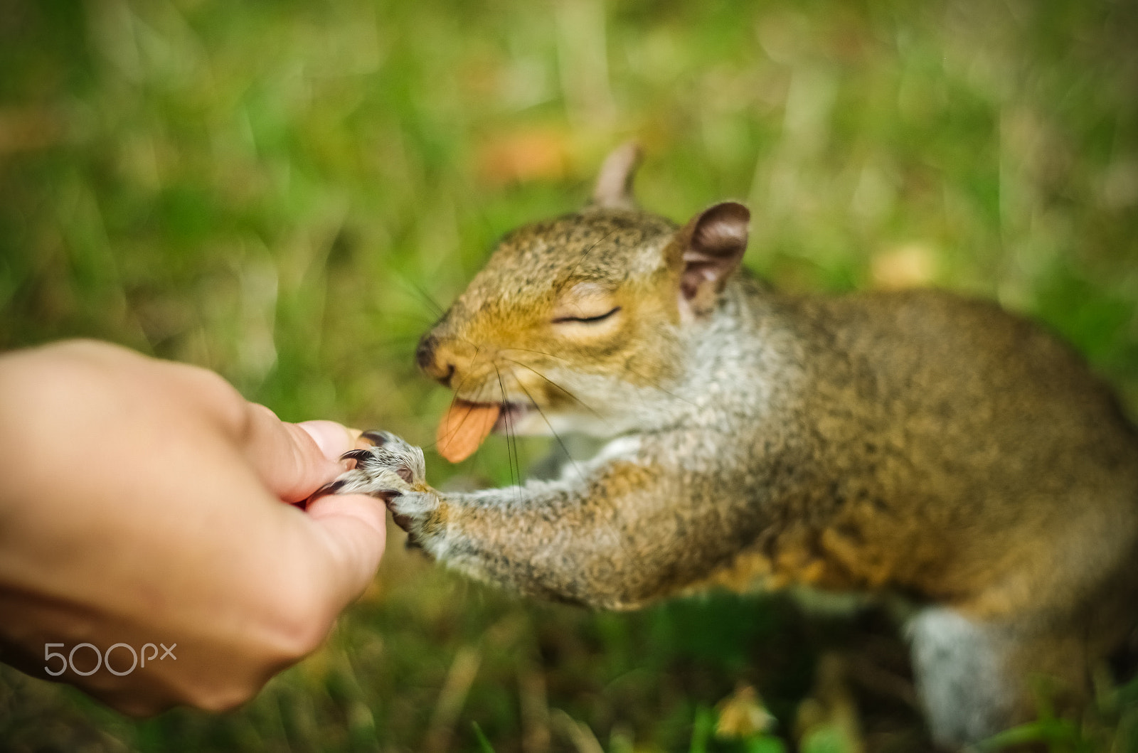 smc PENTAX-F 50mm F1.7 sample photo. Trust photography