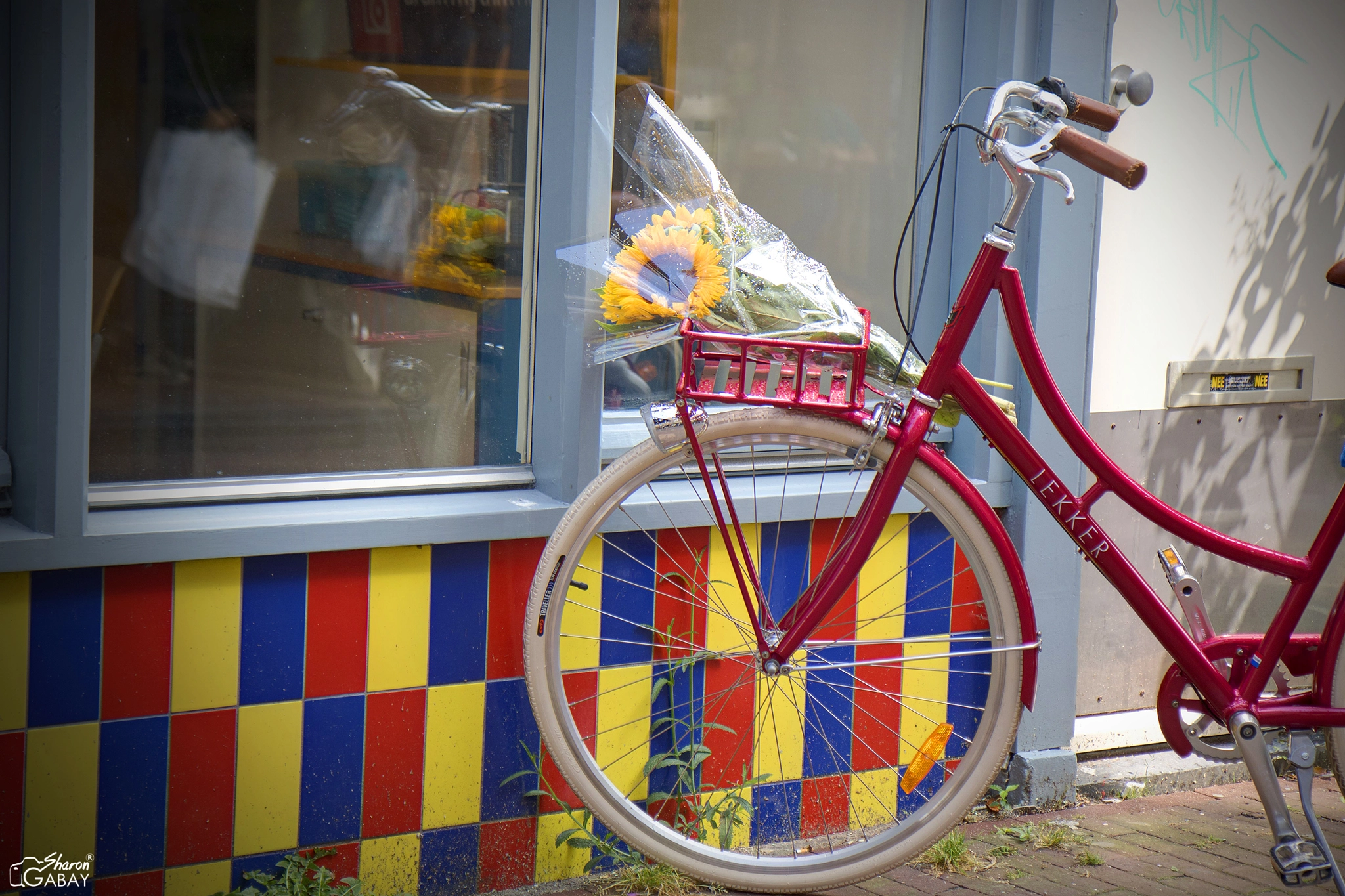 Canon EOS 7D Mark II + Canon EF-S 17-55mm F2.8 IS USM sample photo. Amaterdam streets photography