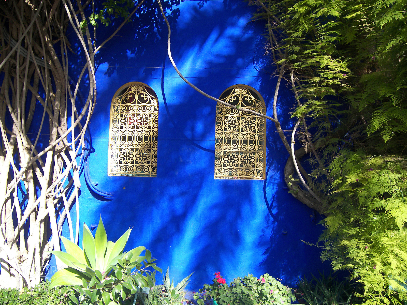 Kodak P880 ZOOM DIGITAL CAMERA sample photo. Windows in the jardin majorelle, marrakech, morocco photography