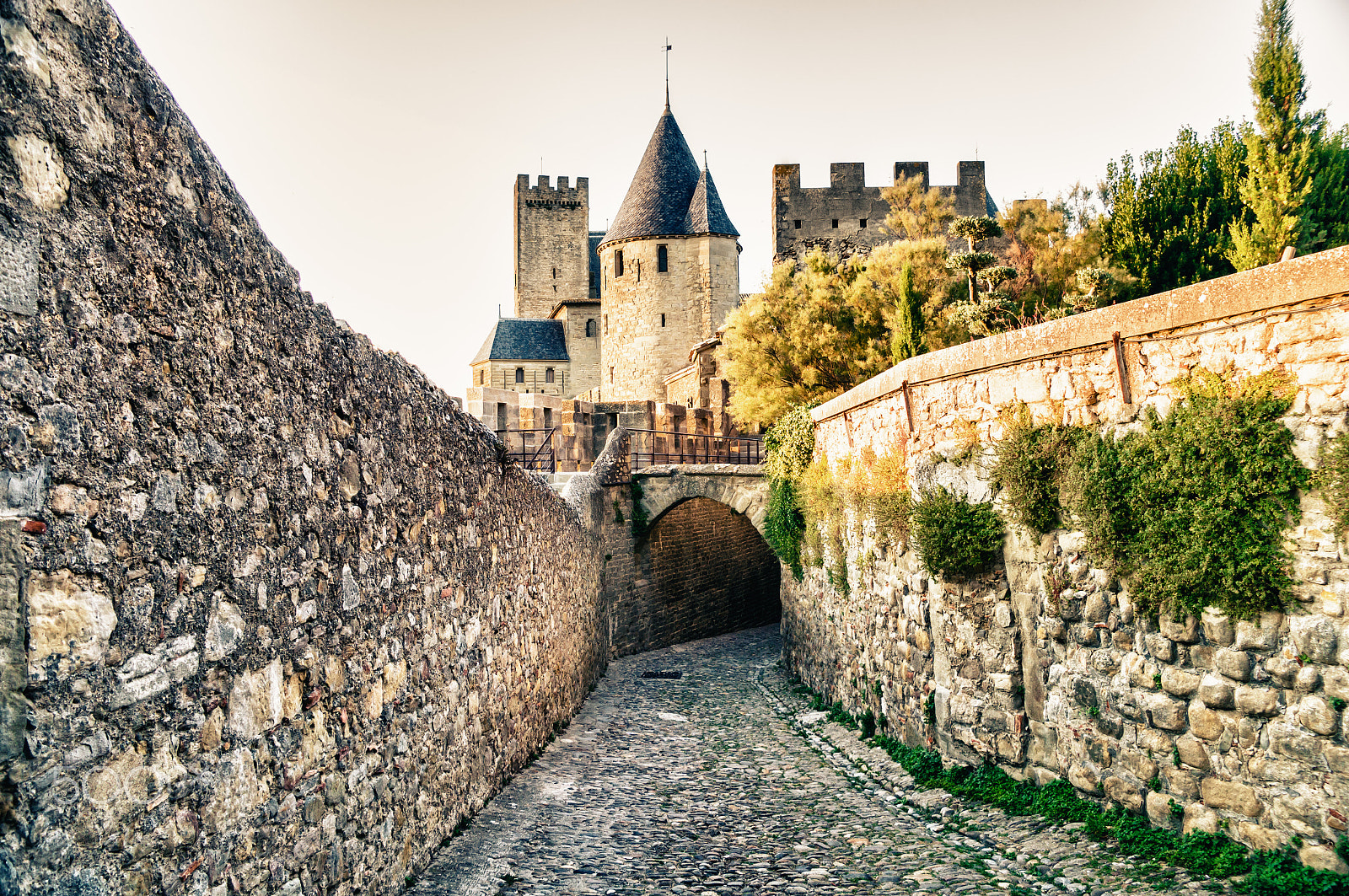 Sony DT 16-105mm F3.5-5.6 sample photo. Carcassonne photography