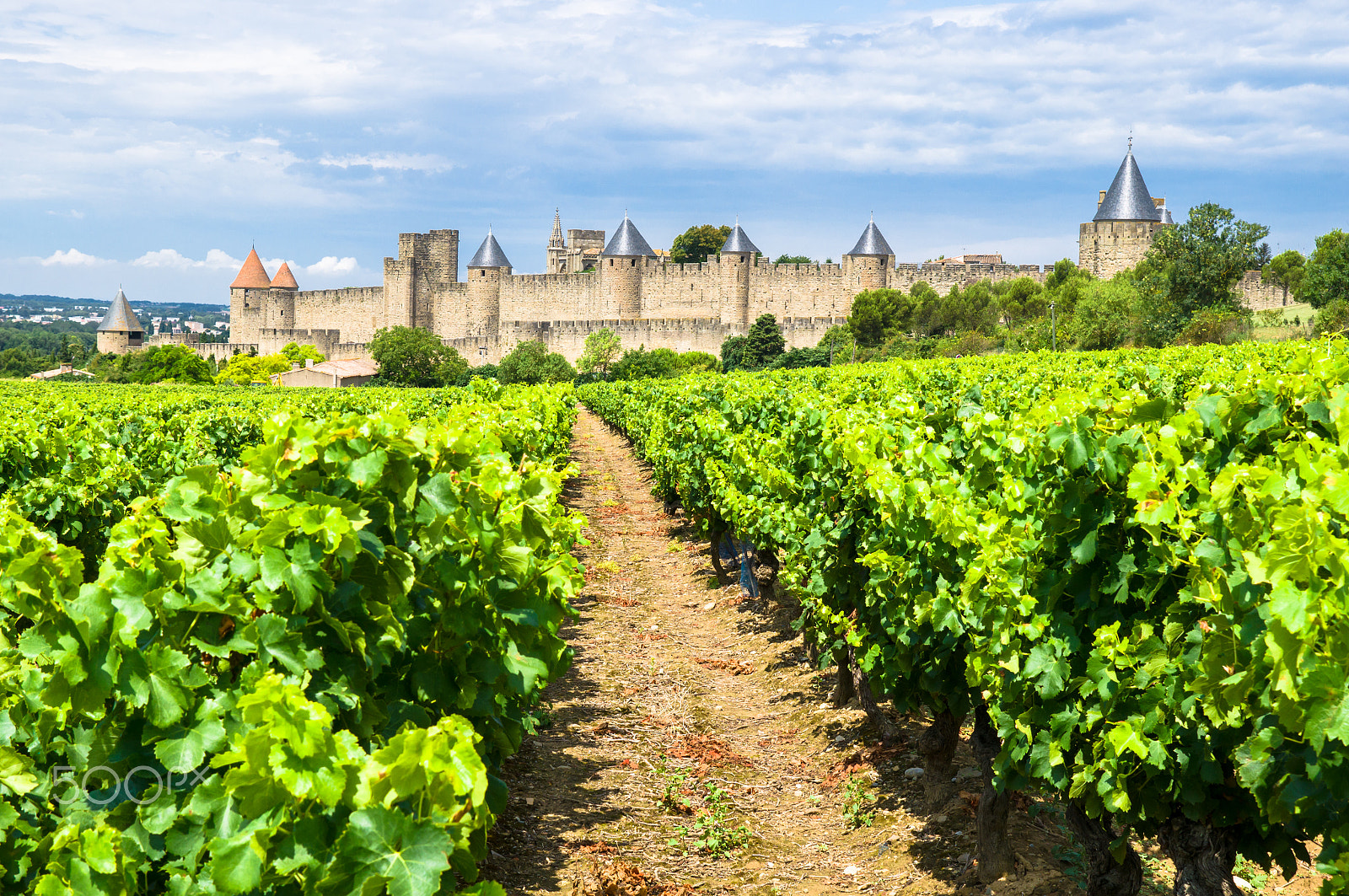 Sony DT 16-105mm F3.5-5.6 sample photo. Carcassonne photography