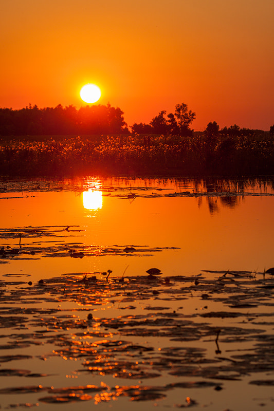 Canon EF 100-400mm F4.5-5.6L IS USM sample photo. Biesbosch sunset i photography