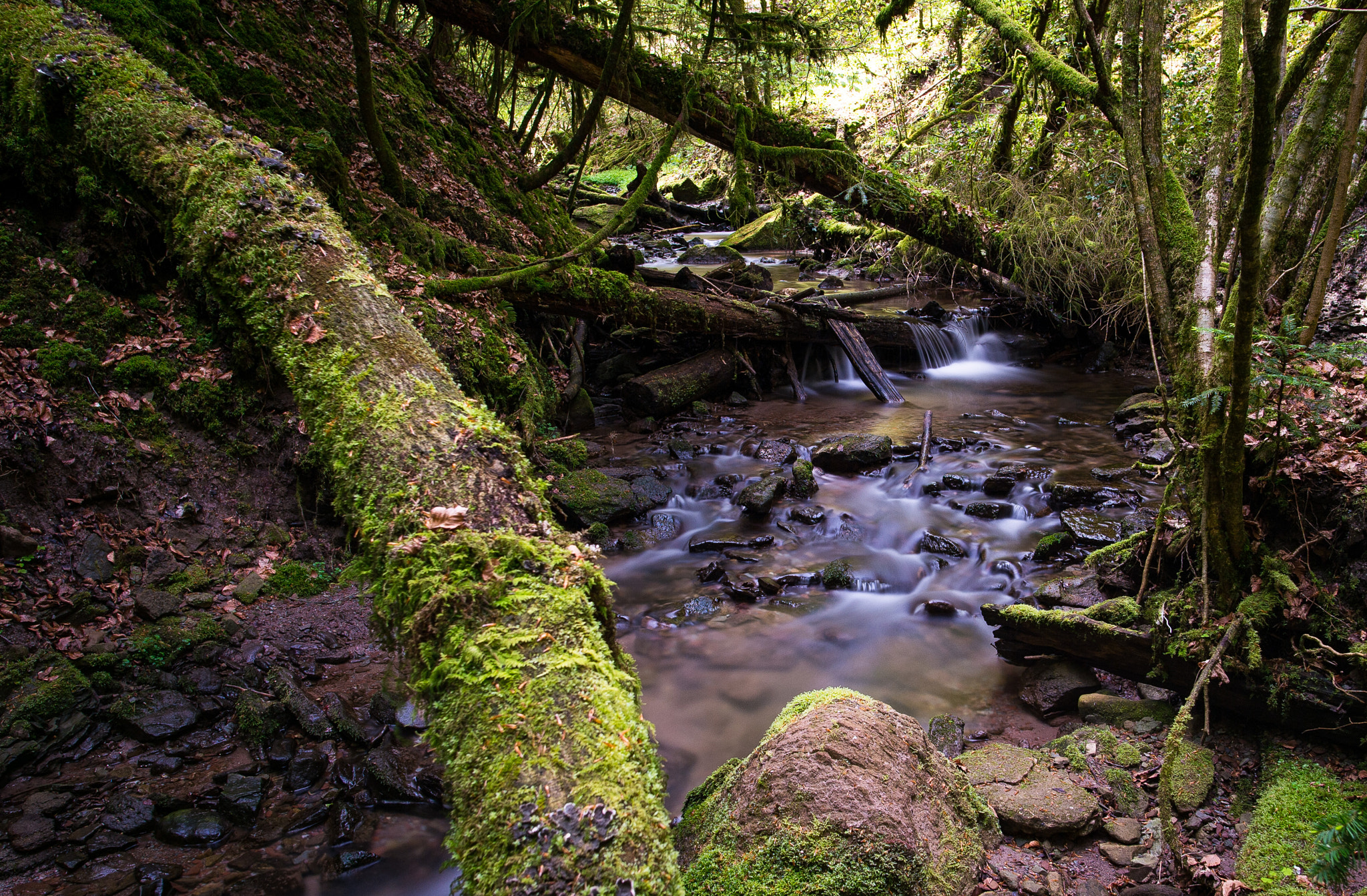 Nikon AF-S Nikkor 20mm F1.8G ED sample photo. Hörschbach-canyon photography