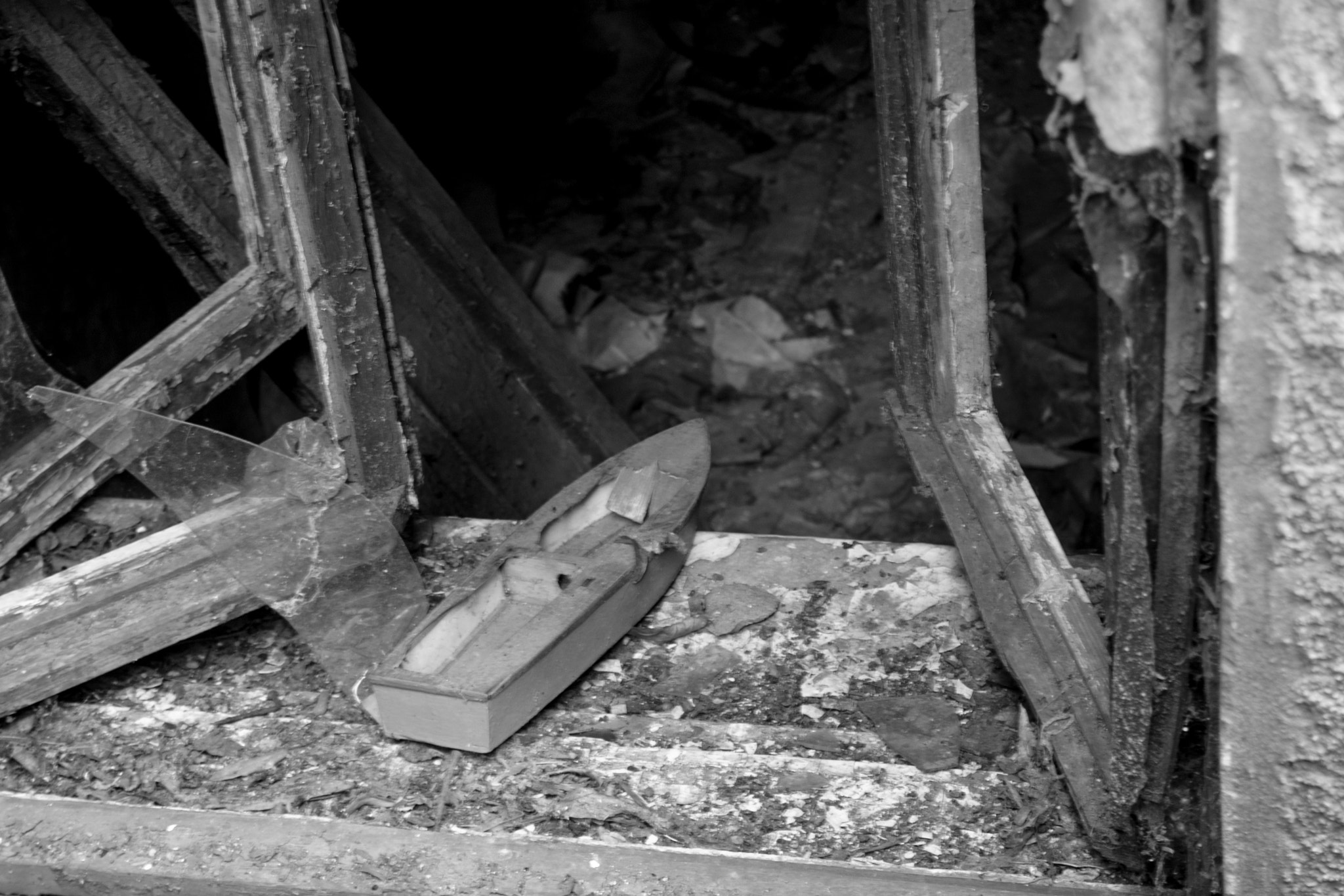Canon EOS 450D (EOS Rebel XSi / EOS Kiss X2) sample photo. Abandoned nautilus photography