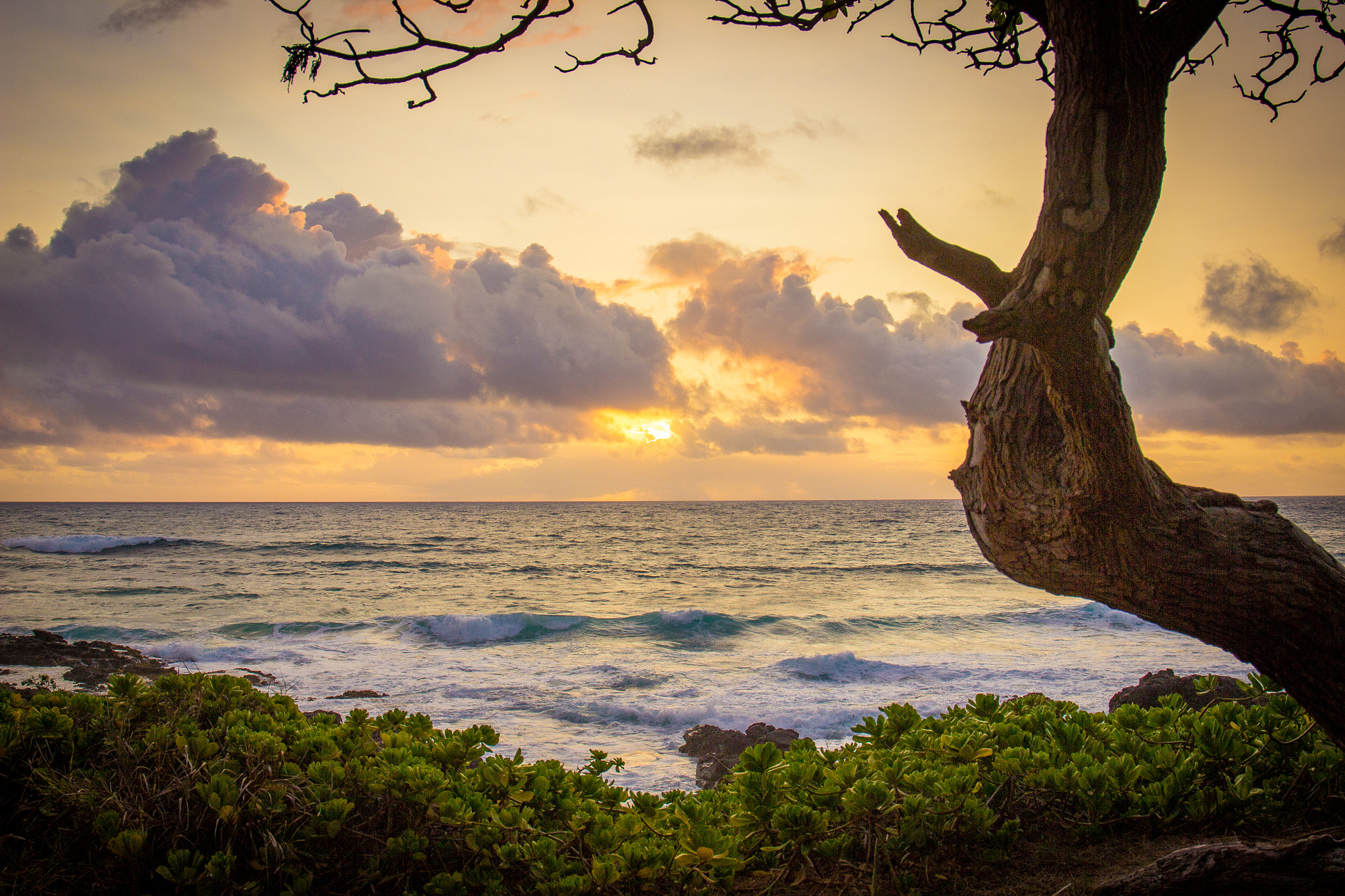 Canon EF 24-105mm F3.5-5.6 IS STM sample photo. Oahu sunrise photography