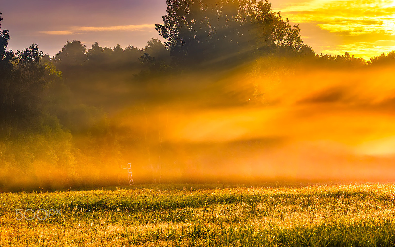 Canon EF 70-200mm F2.8L IS II USM sample photo. Beautiful morning foggy meadow landscape photography