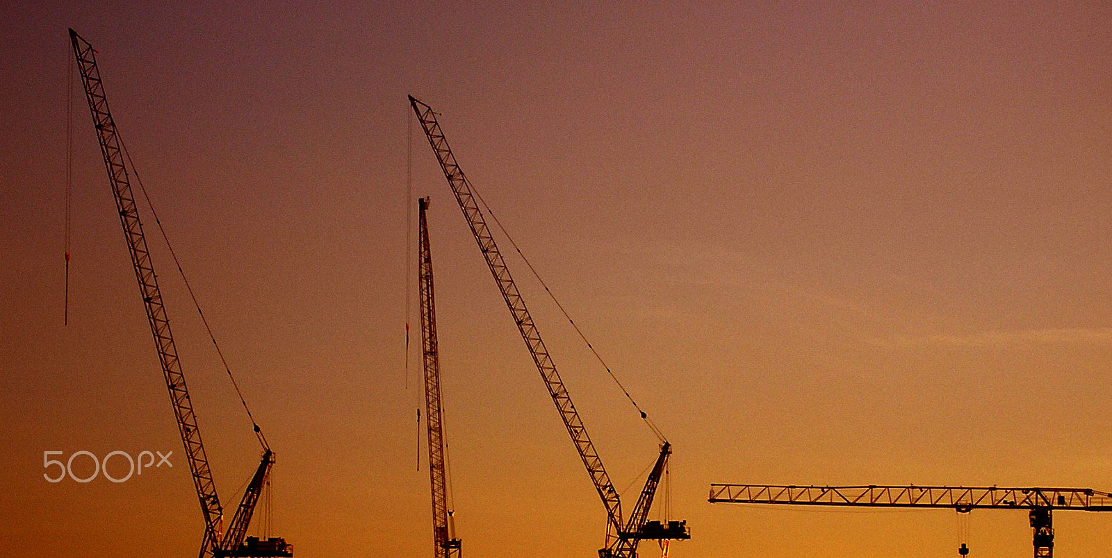 Olympus X100,D540Z,C310Z sample photo. Cranes, london photography