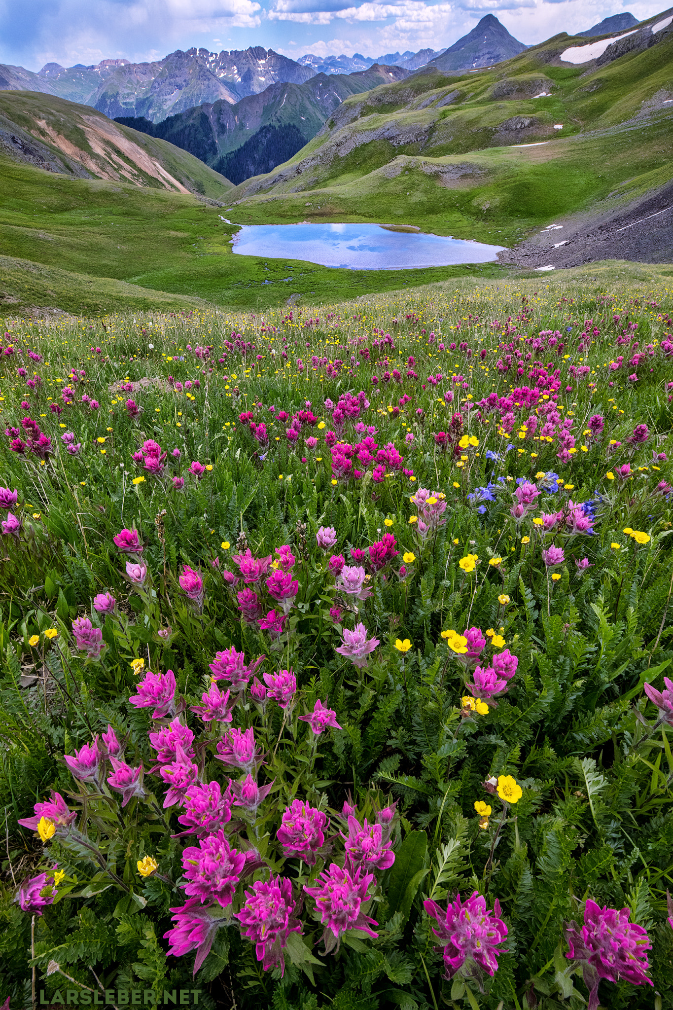 Canon EOS 5DS + Canon TS-E 17mm F4L Tilt-Shift sample photo. Field of paintbrushes photography