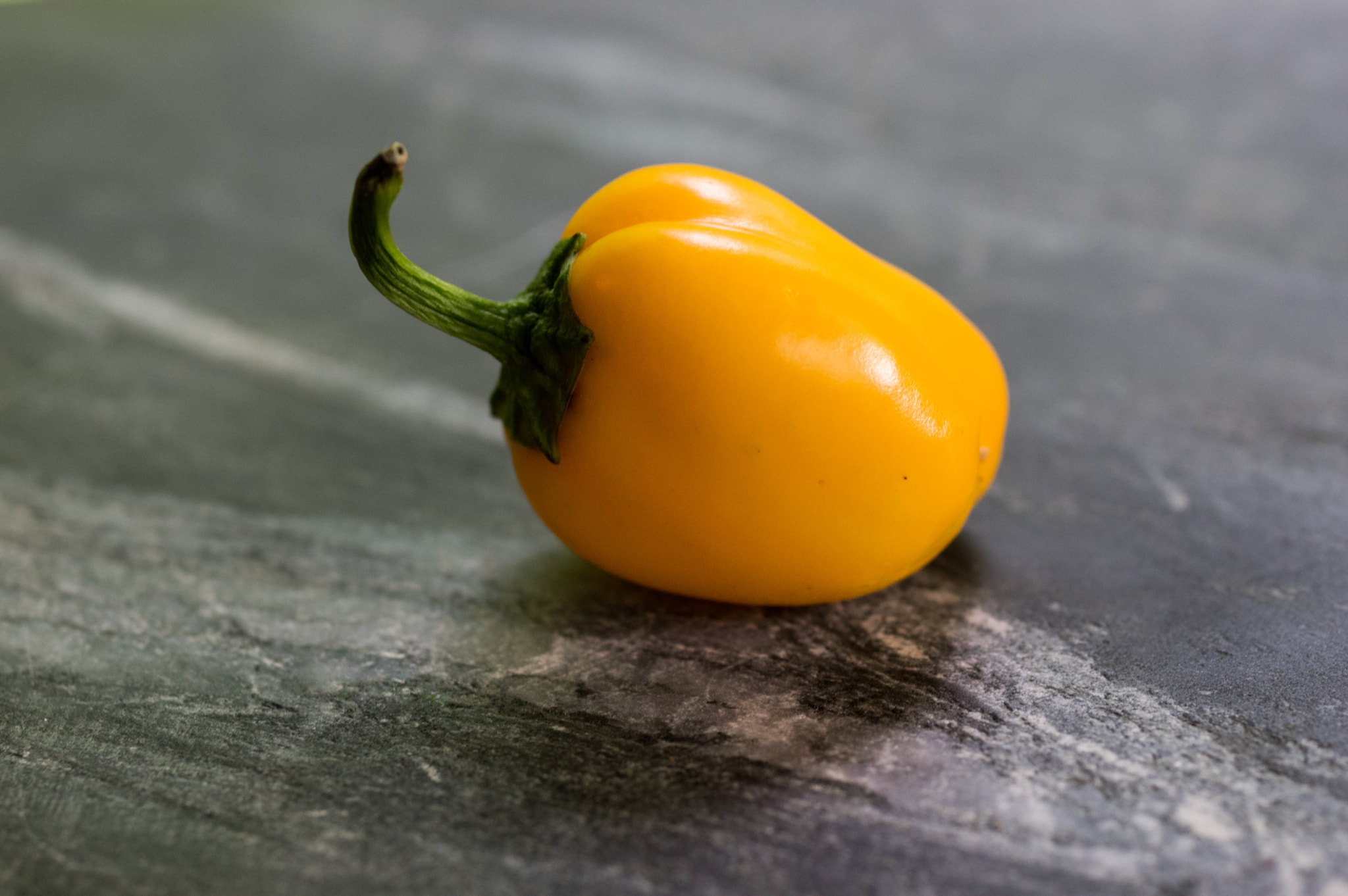 Pentax K-3 + smc PENTAX-FA Macro 50mm F2.8 sample photo. Little yellow pepper photography