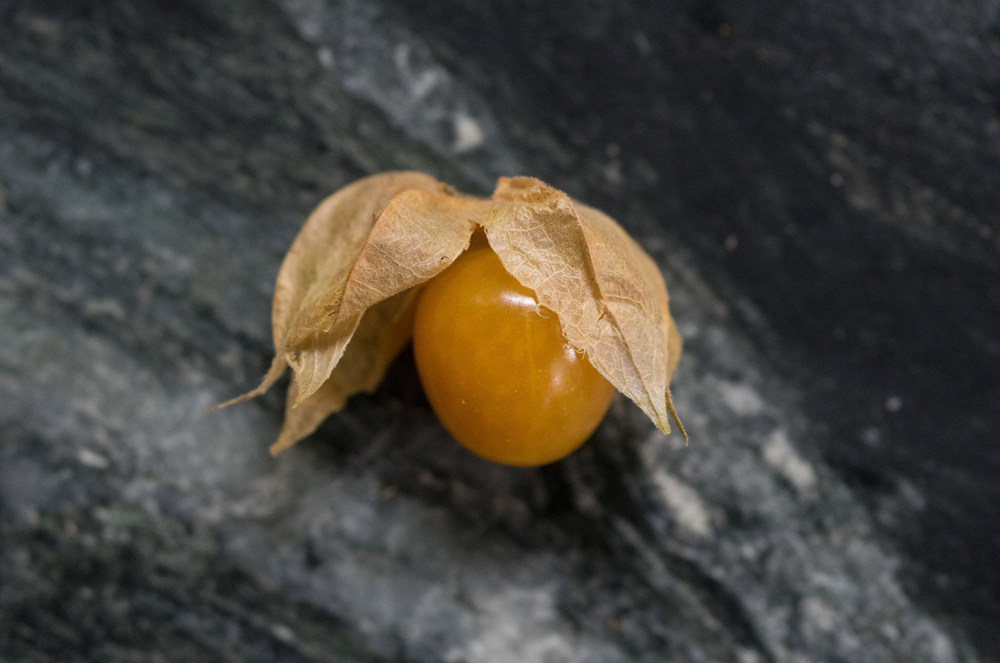 Pentax K-3 sample photo. Cape gooseberry photography