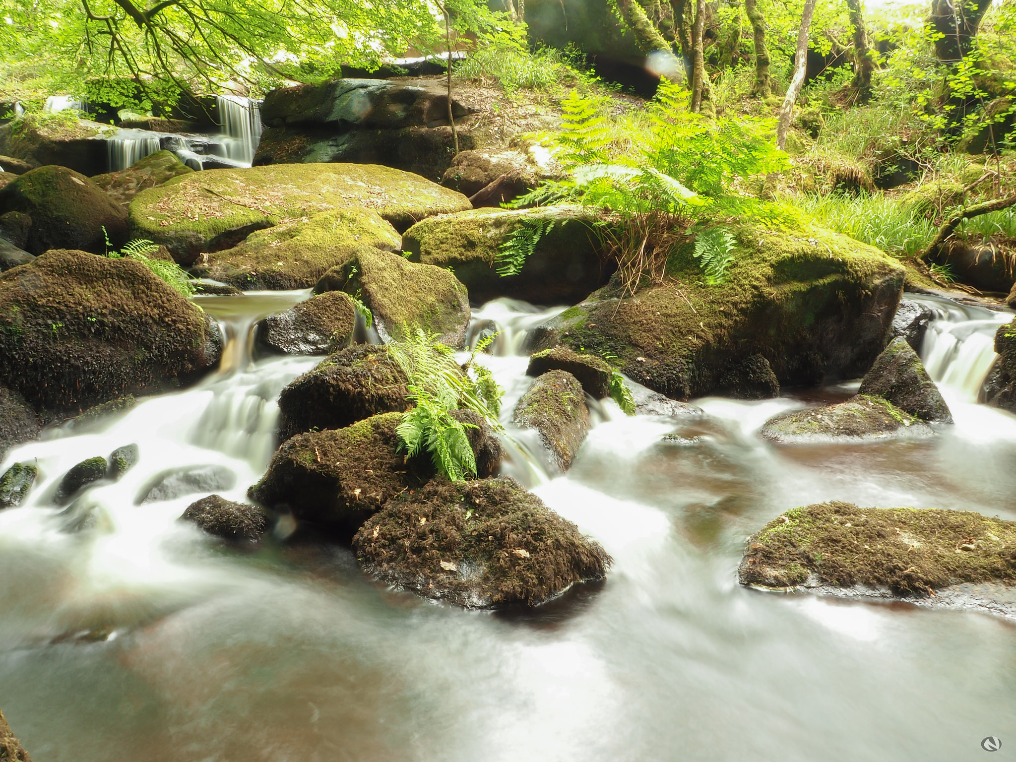 OLYMPUS M.12-50mm F3.5-6.3 sample photo. Cascades de saint herbot photography