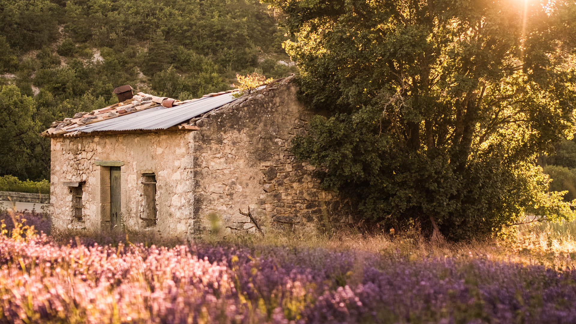 Canon EOS 650D (EOS Rebel T4i / EOS Kiss X6i) + Sigma 35mm F1.4 DG HSM Art sample photo. Provence photography