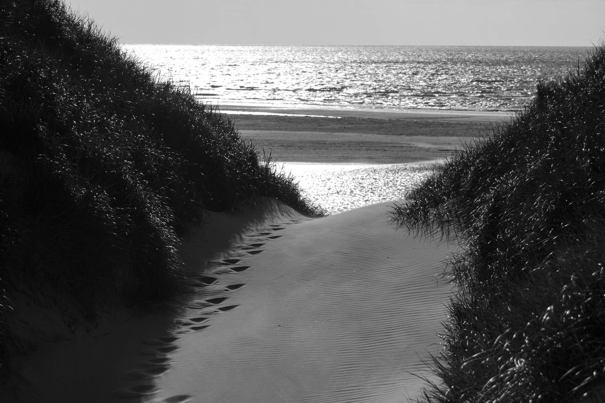 Canon EF 80-200mm F4.5-5.6 II sample photo. Dune photography