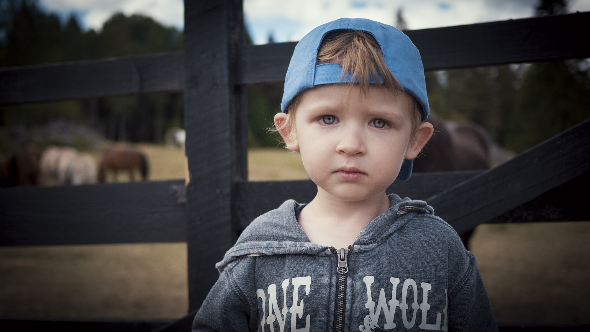 Panasonic Lumix DMC-GH4 + LUMIX G 20/F1.7 II sample photo. The moment i tell him that we're going home and he wants to stay with the animals. photography