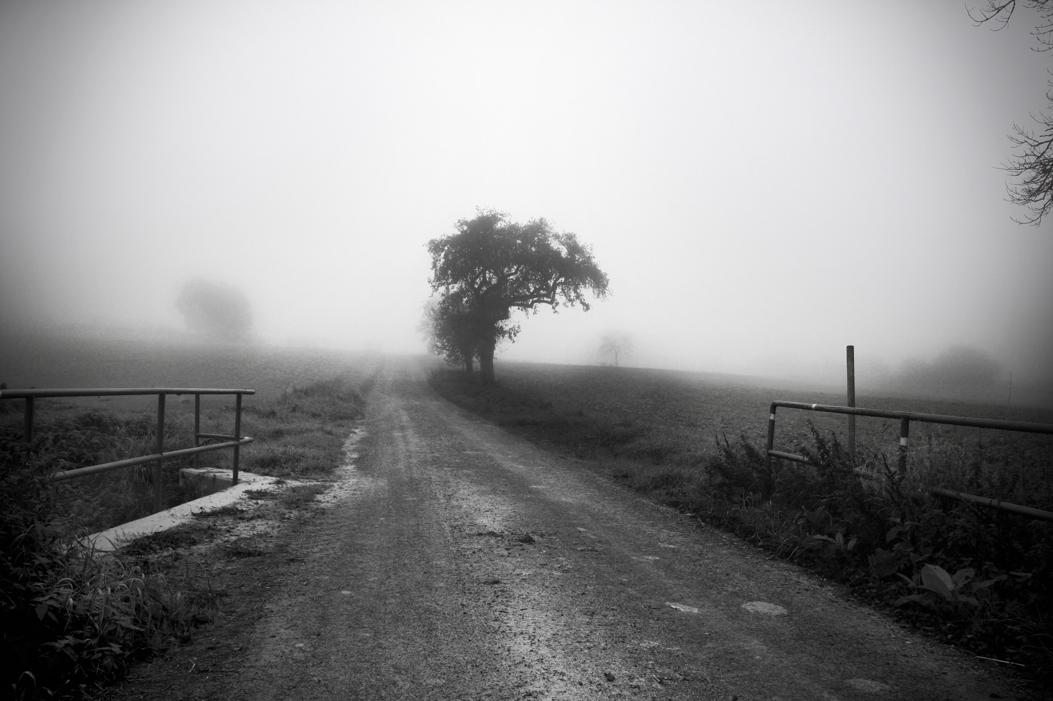 Sigma 18-35mm f/1.8 DC HSM sample photo. Mist-ish photography
