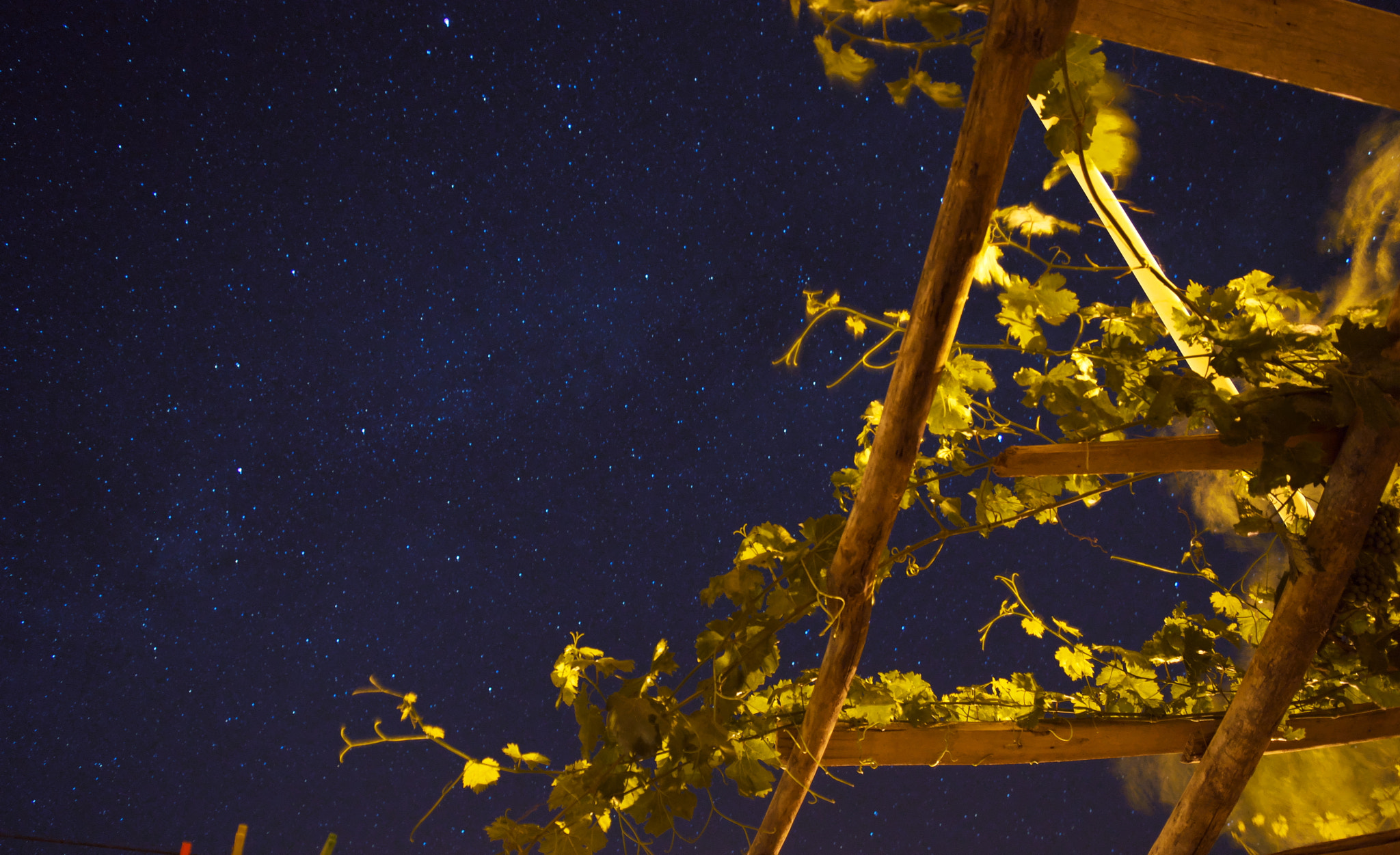 VR 18-55mm F/3.5-5.6 G sample photo. Stars photography