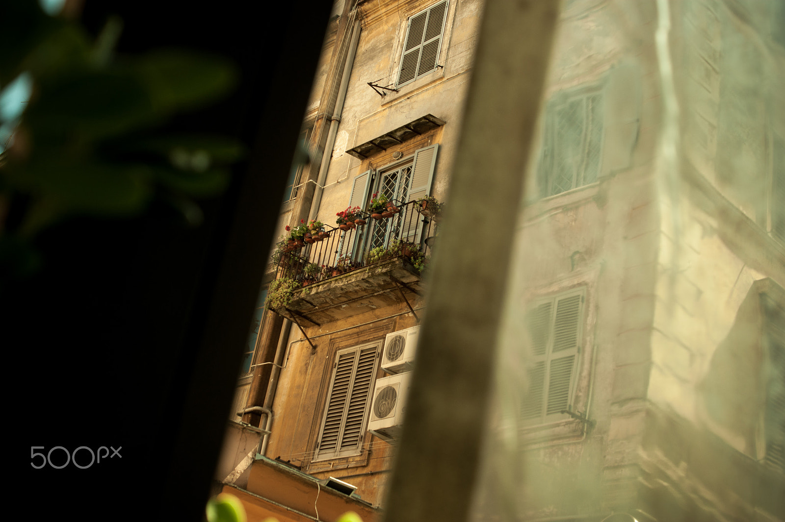 Sony Alpha DSLR-A350 + Sony DT 35mm F1.8 SAM sample photo. Romajd2014 photography