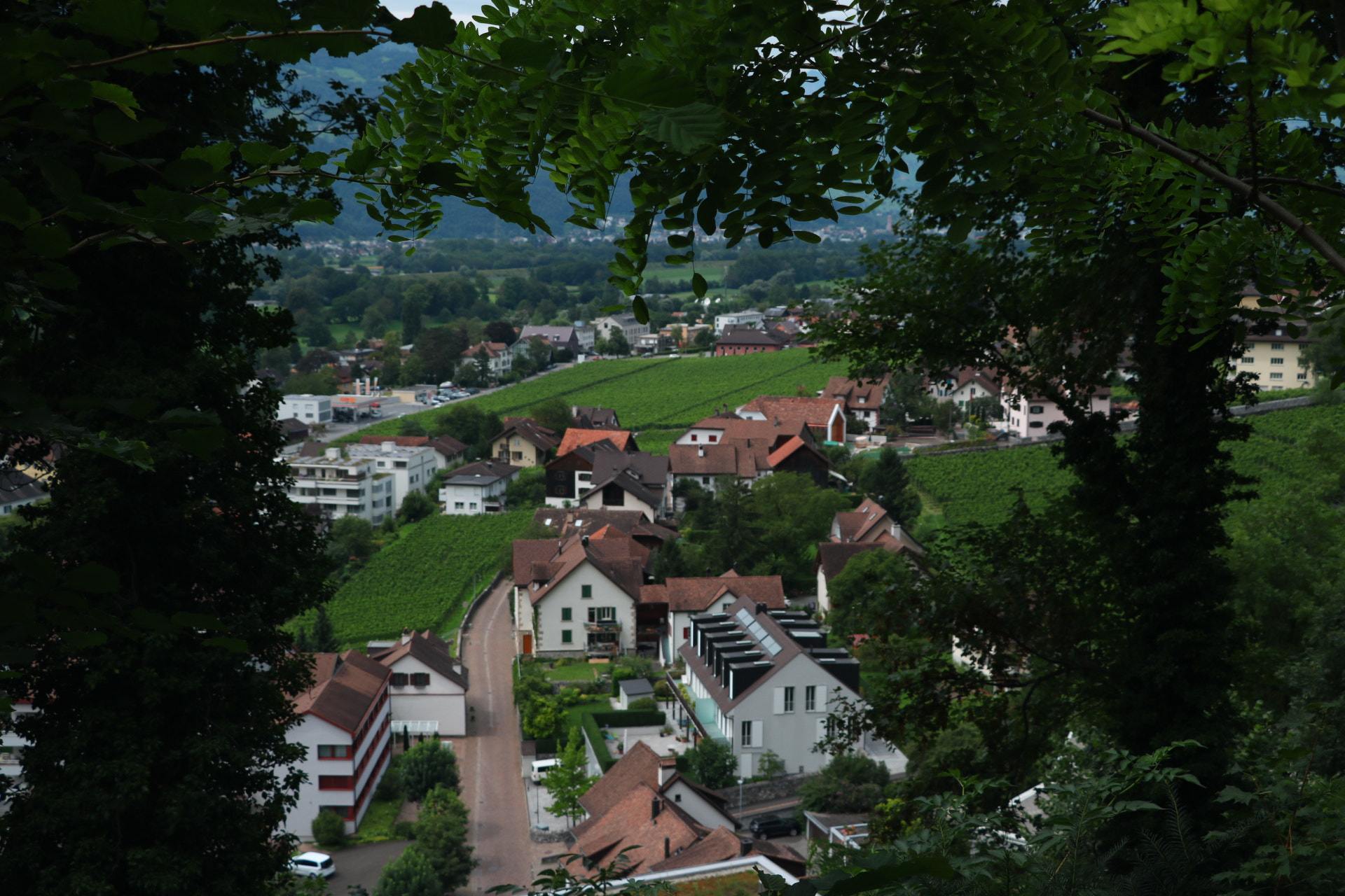 Canon EOS 750D (EOS Rebel T6i / EOS Kiss X8i) sample photo. Liechtenstein  photography