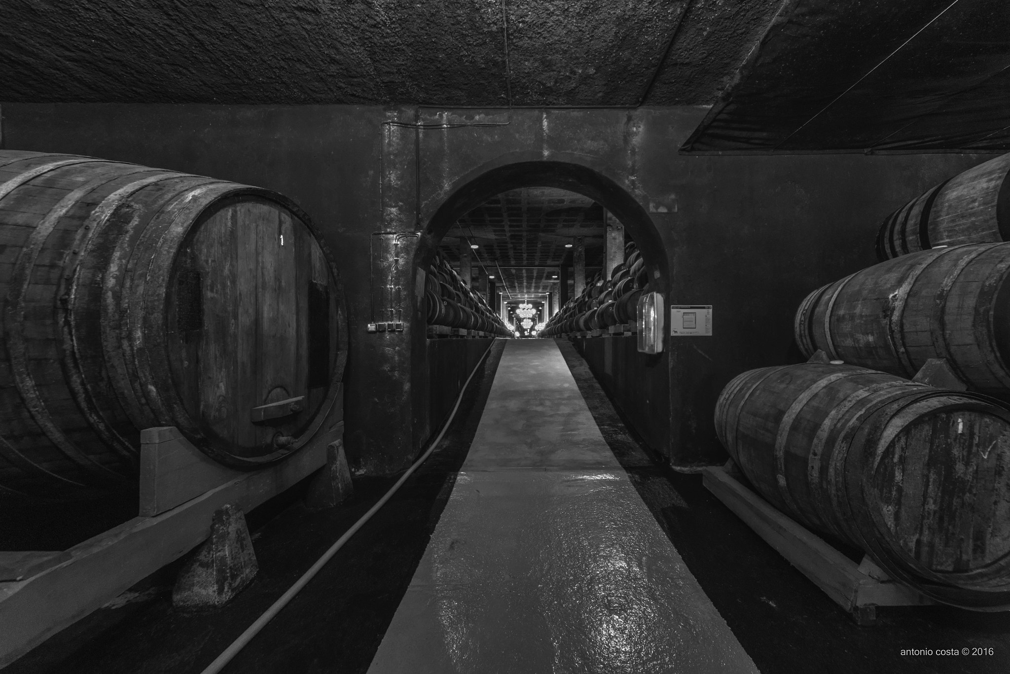 Sigma 12-24mm F4.5-5.6 EX DG Aspherical HSM sample photo. Arches photography