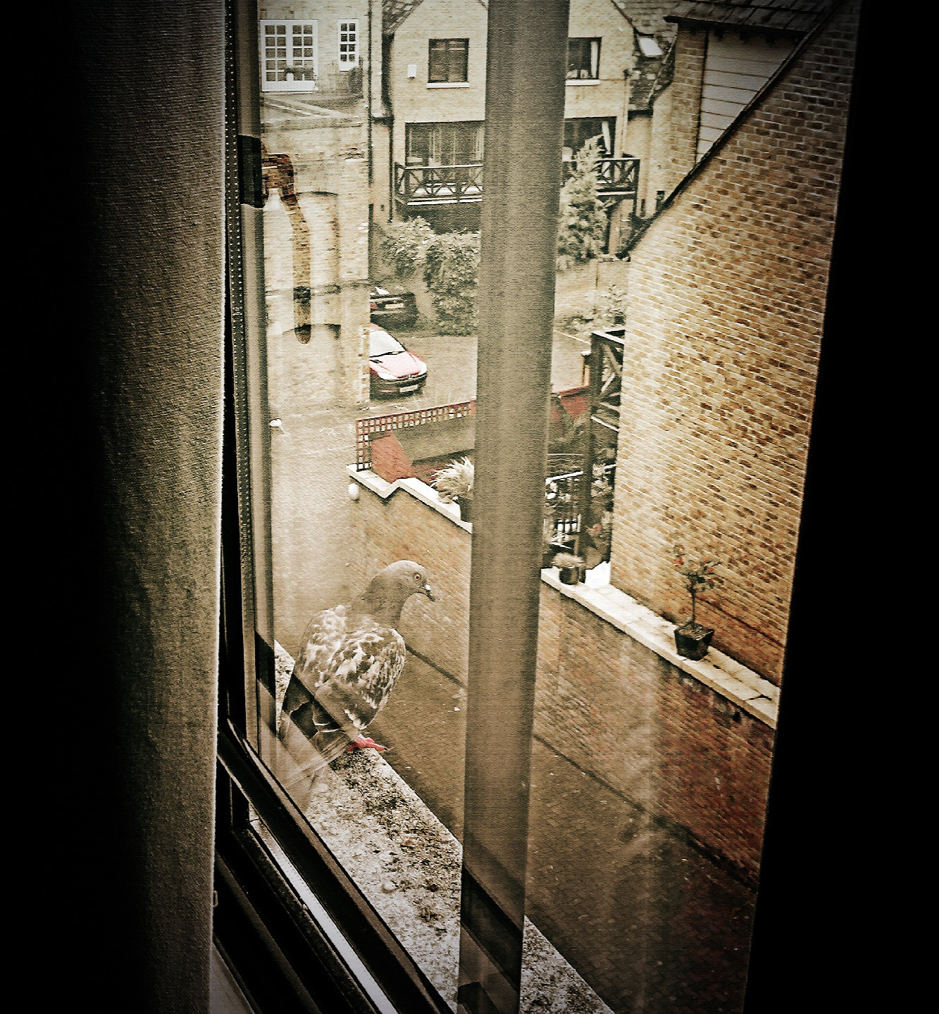 bq Aquaris E5 FHD sample photo