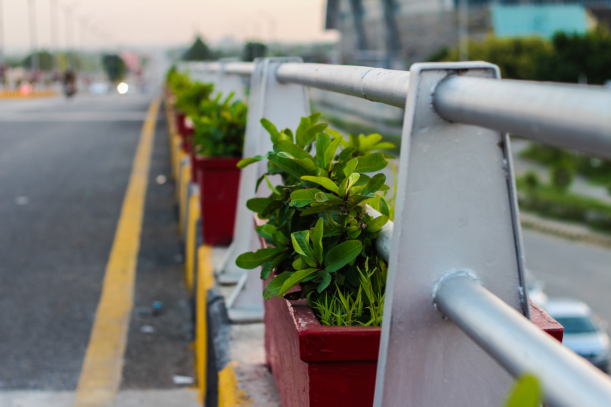 Canon EOS 700D (EOS Rebel T5i / EOS Kiss X7i) + Canon EF 50mm F1.8 II sample photo. Life on the edge photography