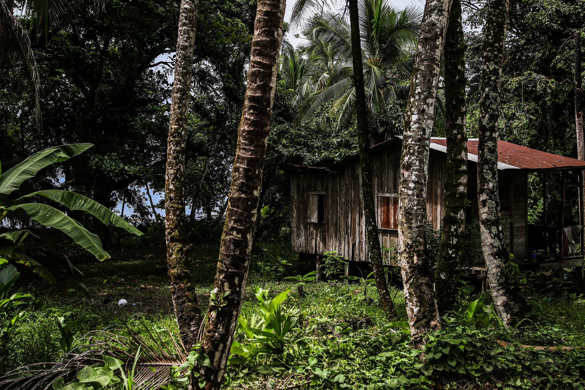 Sigma 24mm F1.4 DG HSM Art sample photo. Home with mother photography