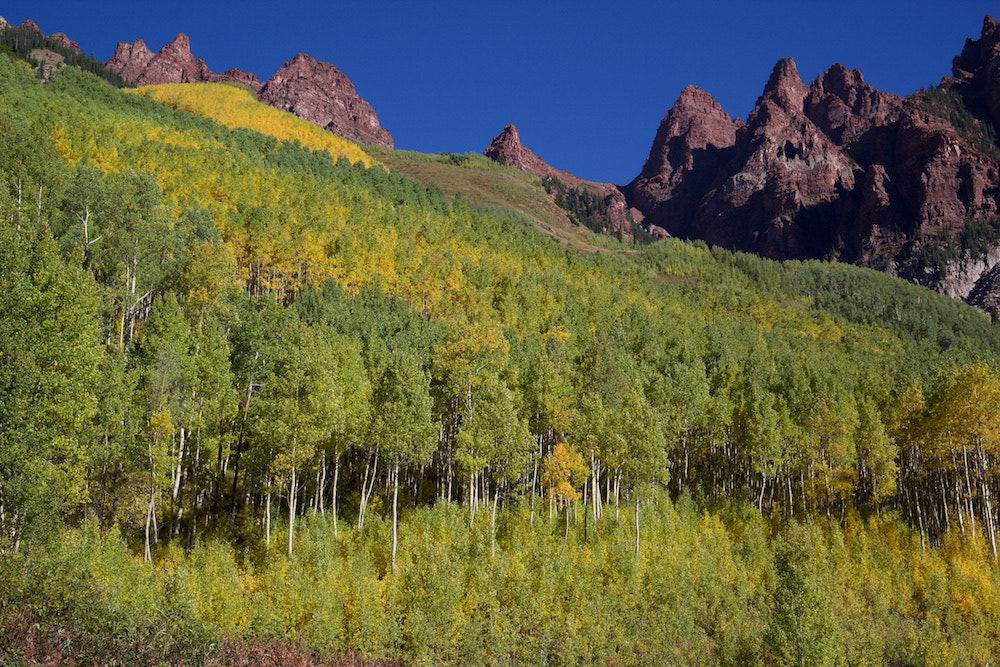 Canon EOS 60D + Canon EF 16-35mm F4L IS USM sample photo. Aspens photography