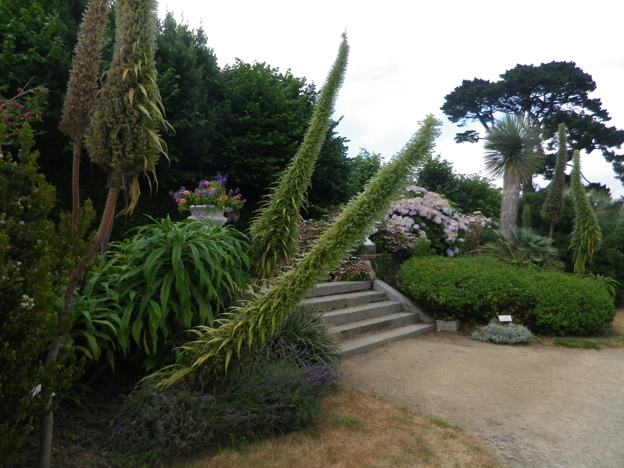 Pentax Optio RZ18 sample photo. Jardin " à l'anglaise" du montmarin photography