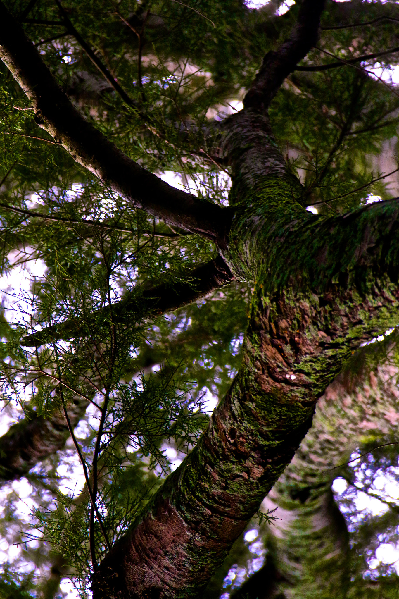 Canon EF 28-300mm F3.5-5.6L IS USM sample photo