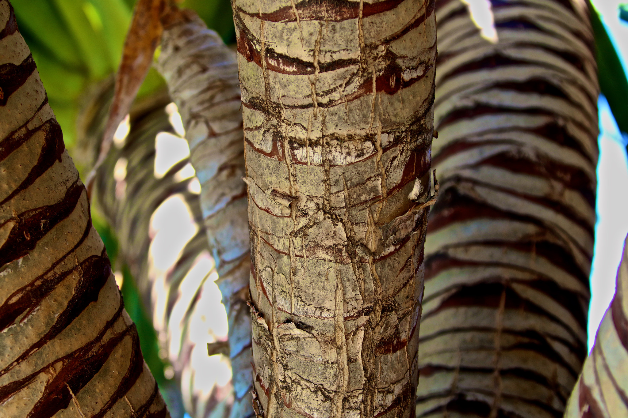Canon EF 28-300mm F3.5-5.6L IS USM sample photo