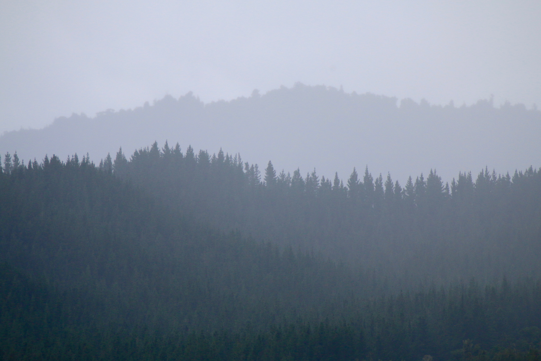 Canon EF 28-300mm F3.5-5.6L IS USM sample photo