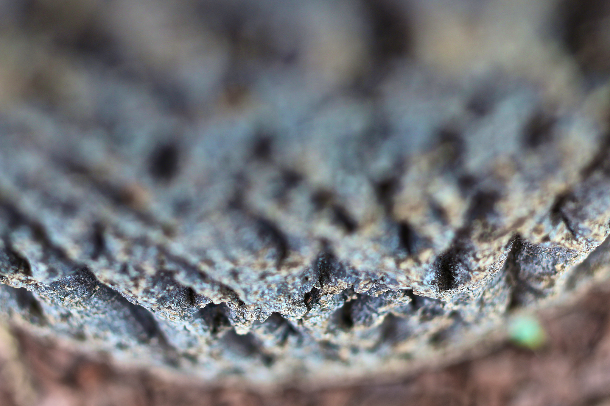Canon EOS 70D + Canon EF 50mm F1.8 II sample photo