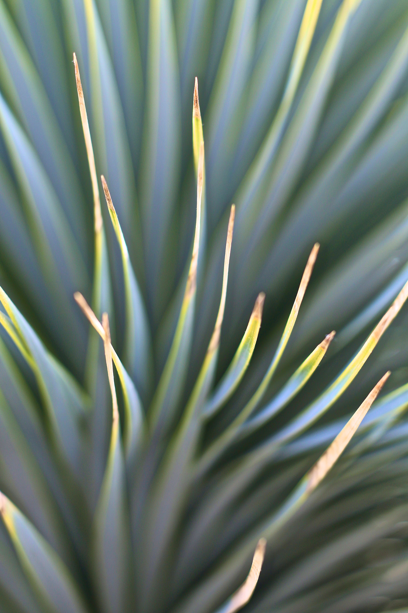 Canon EOS 70D + Canon EF 50mm F1.8 II sample photo