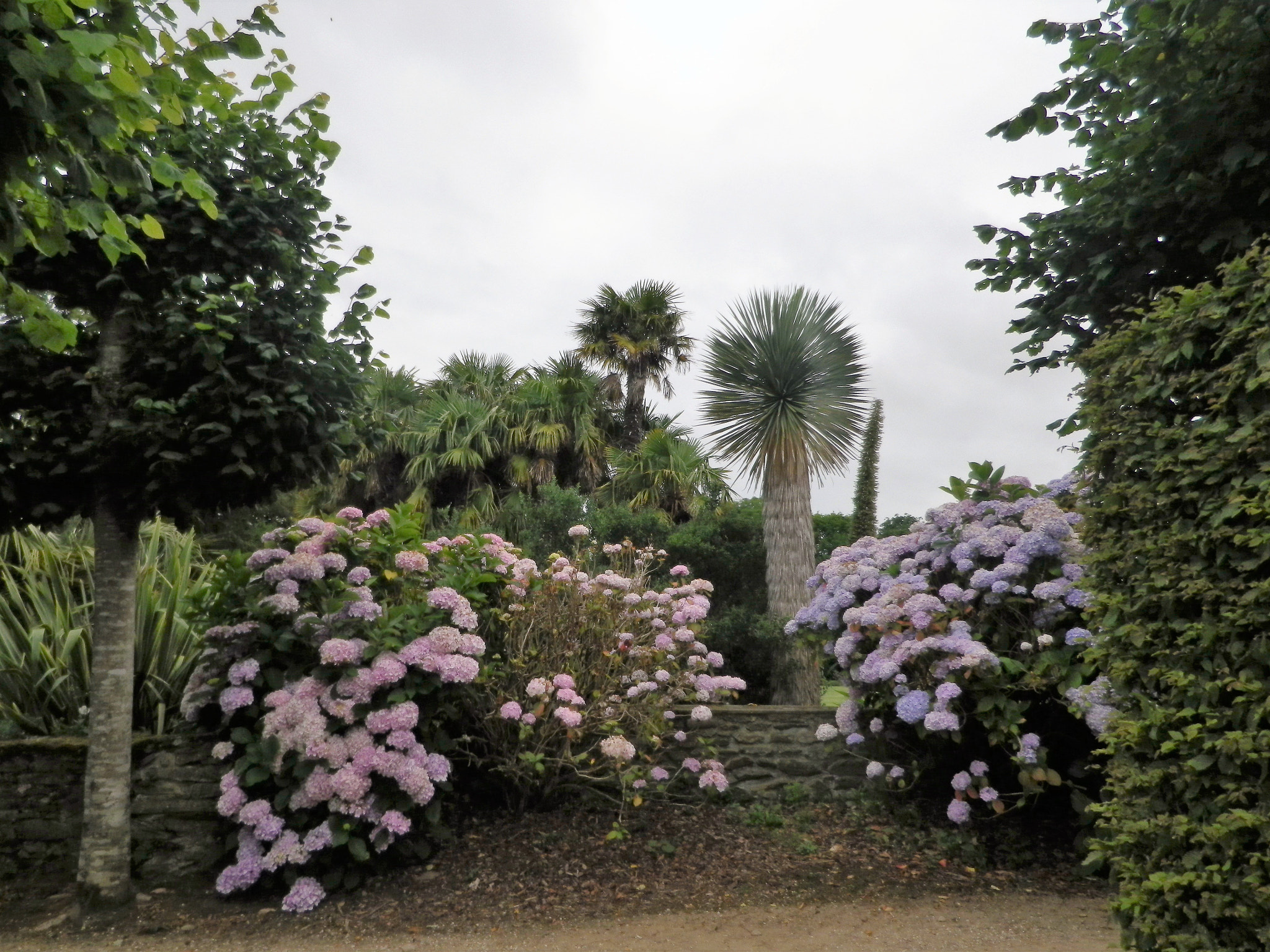 Pentax Optio RZ18 sample photo. Bosquet du jardin du montmarin photography