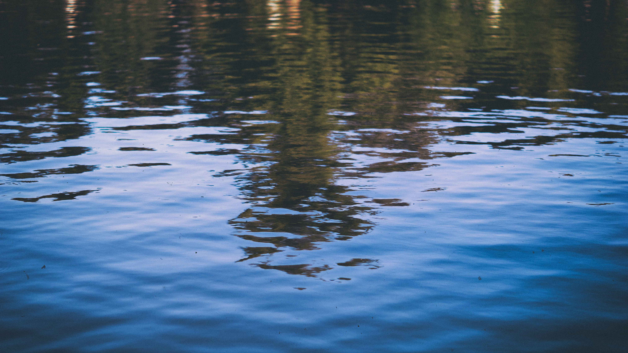 Sony ILCA-77M2 + Sony DT 50mm F1.8 SAM sample photo. Trees on water photography