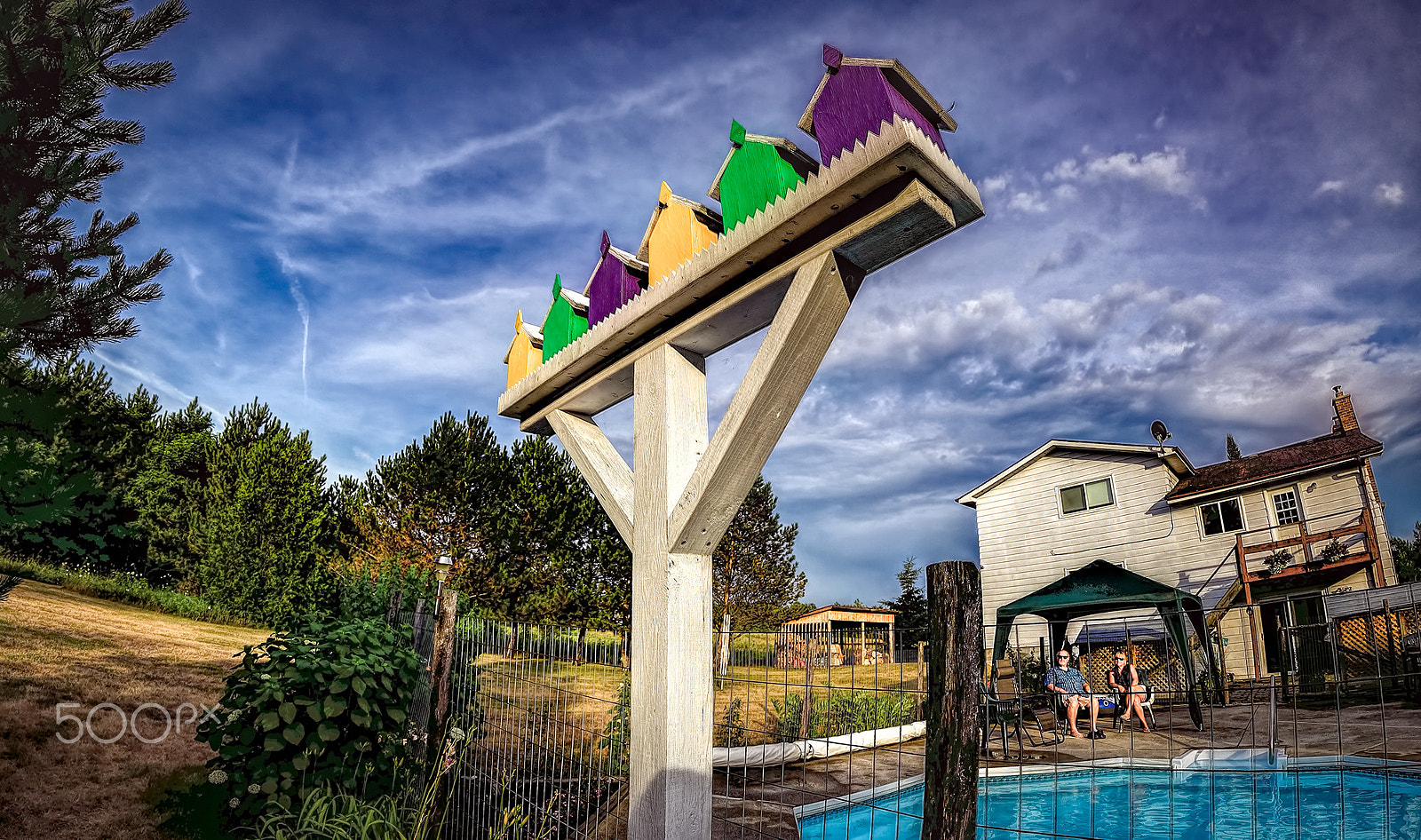 Canon EF 8-15mm F4L Fisheye USM sample photo. The bird house photography