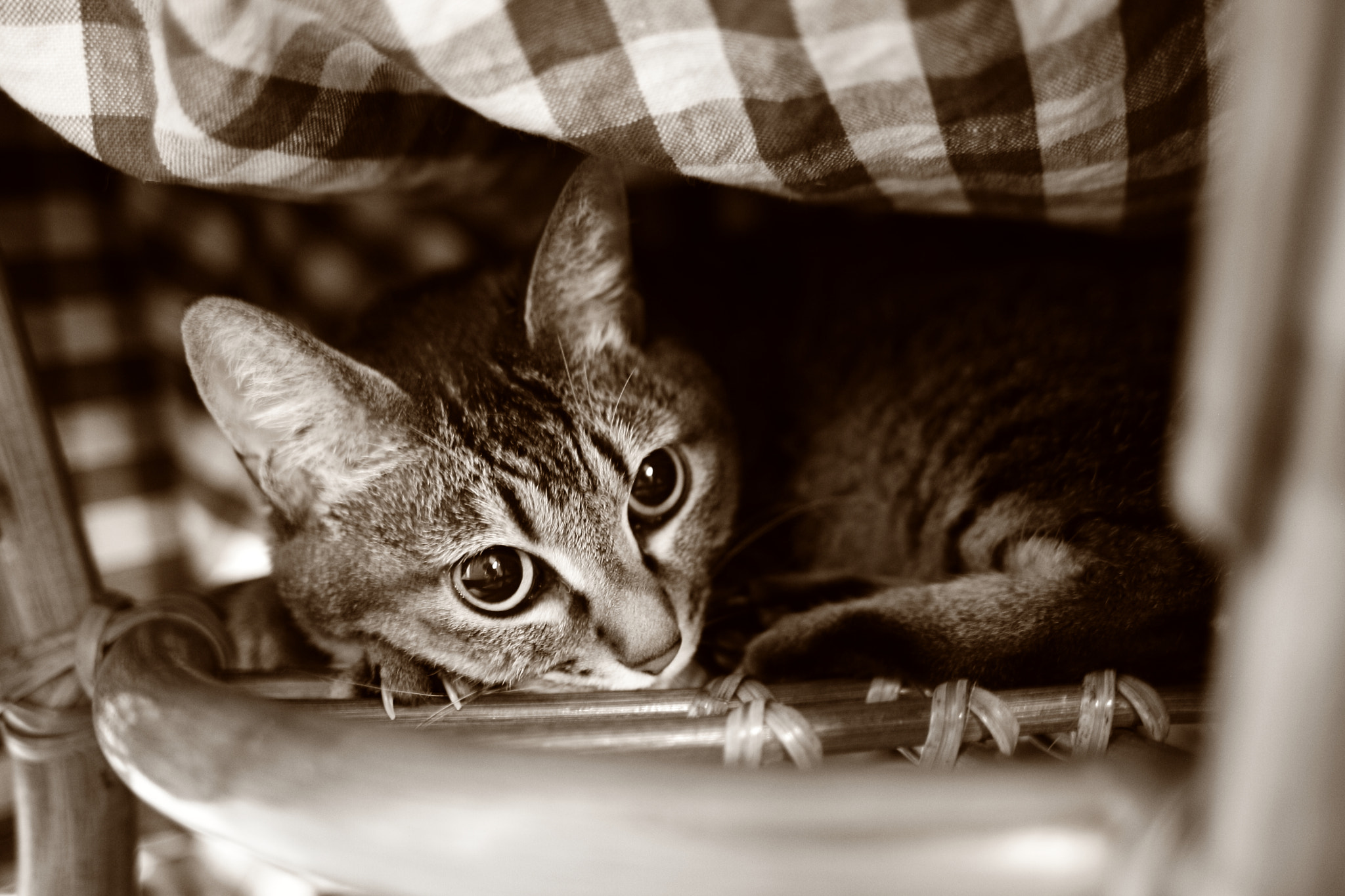 Sigma 28mm f/1.8 DG Macro EX sample photo. Favorite places photography