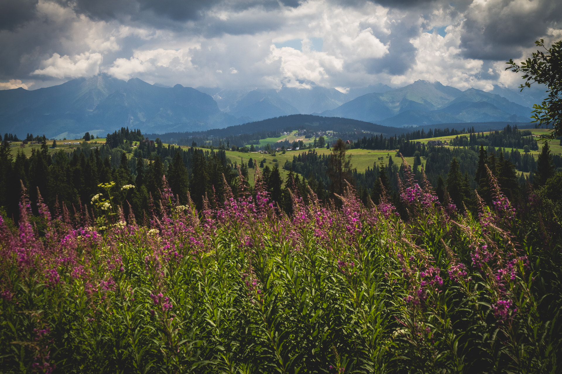 Sigma 17-70mm F2.8-4 DC Macro OS HSM sample photo. Tatry photography