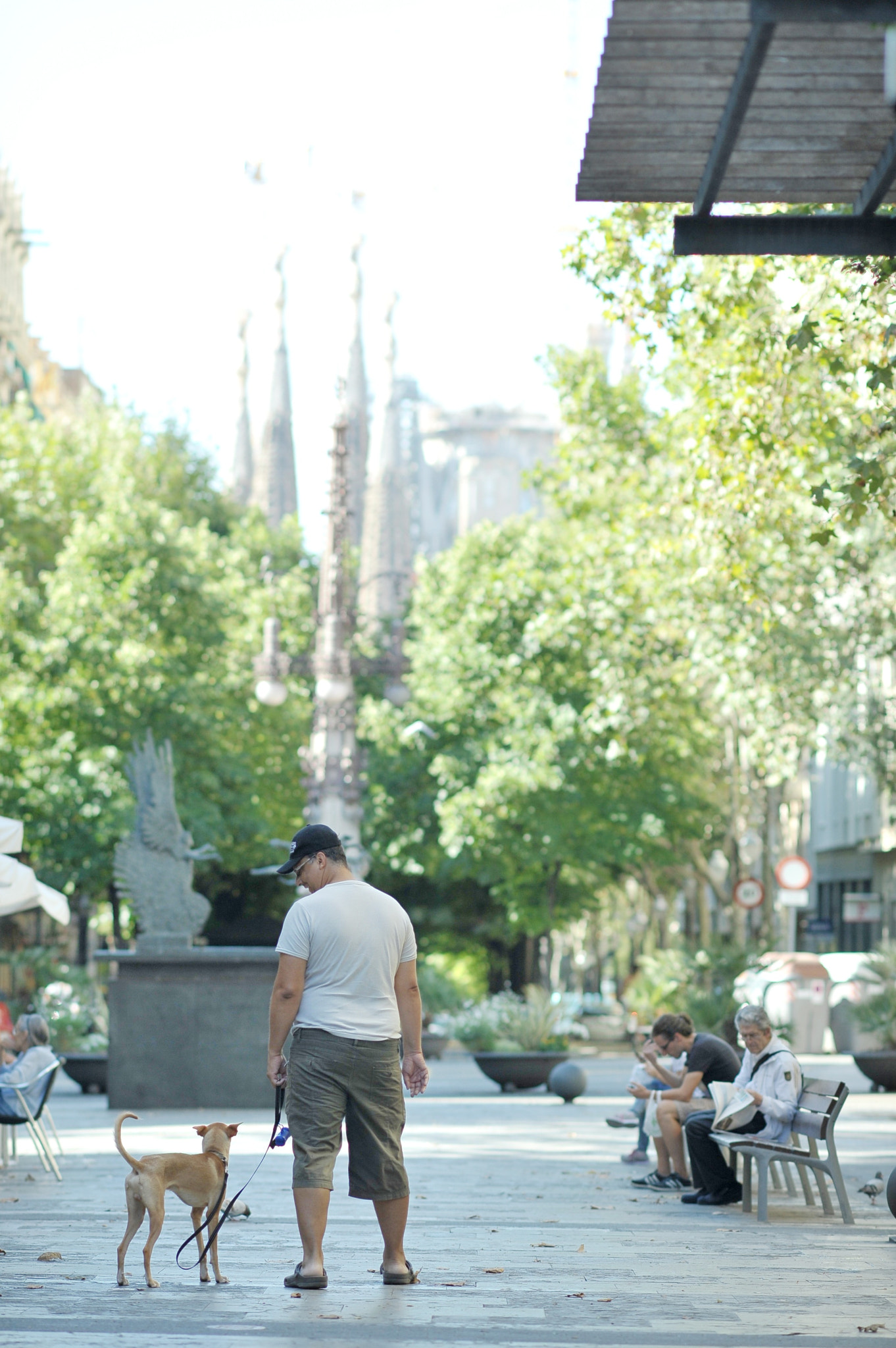 Nikon D700 + AF DC-Nikkor 135mm f/2D sample photo. Good morning barcelona photography