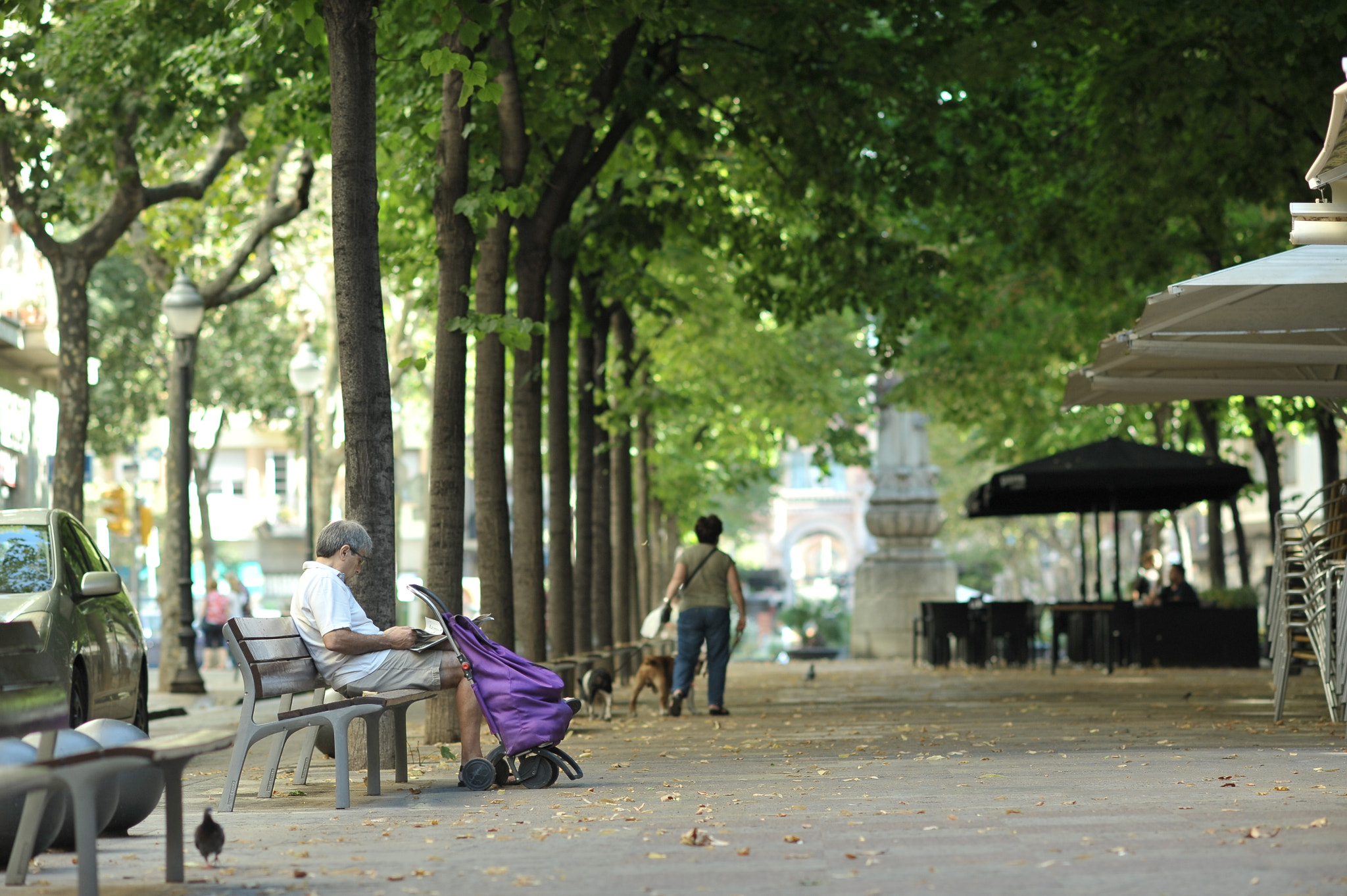 Nikon D700 + AF DC-Nikkor 135mm f/2D sample photo. Good morning barcelona photography