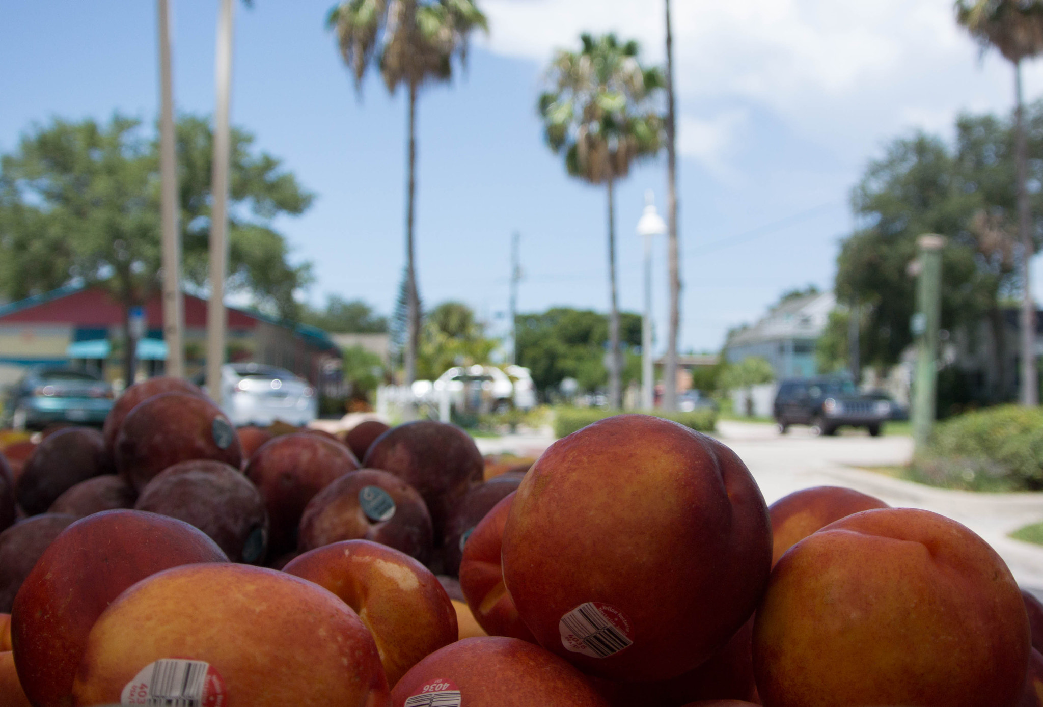 Nikon 1 J3 sample photo. Farmers  market 1 photography