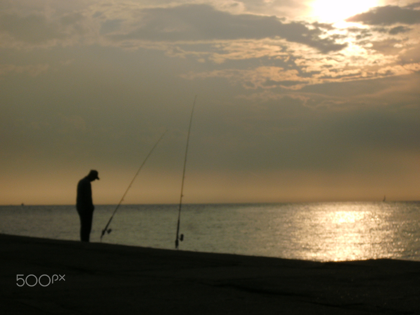 TRAVELER DC-12 sample photo. Waiting for a fish photography