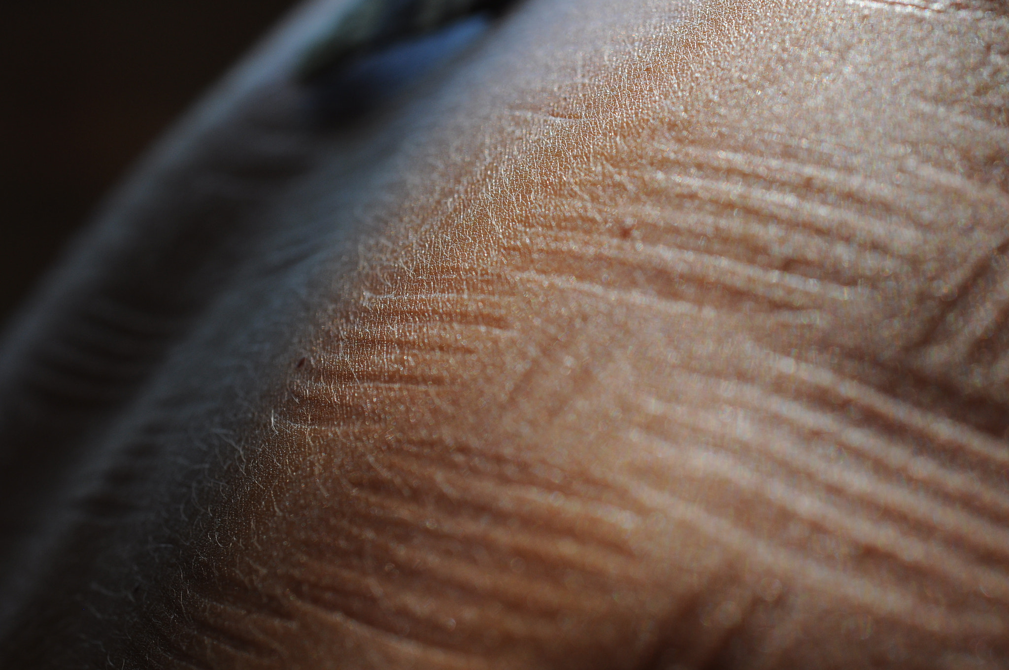Nikon AF-S Micro-Nikkor 60mm F2.8G ED sample photo. - photography