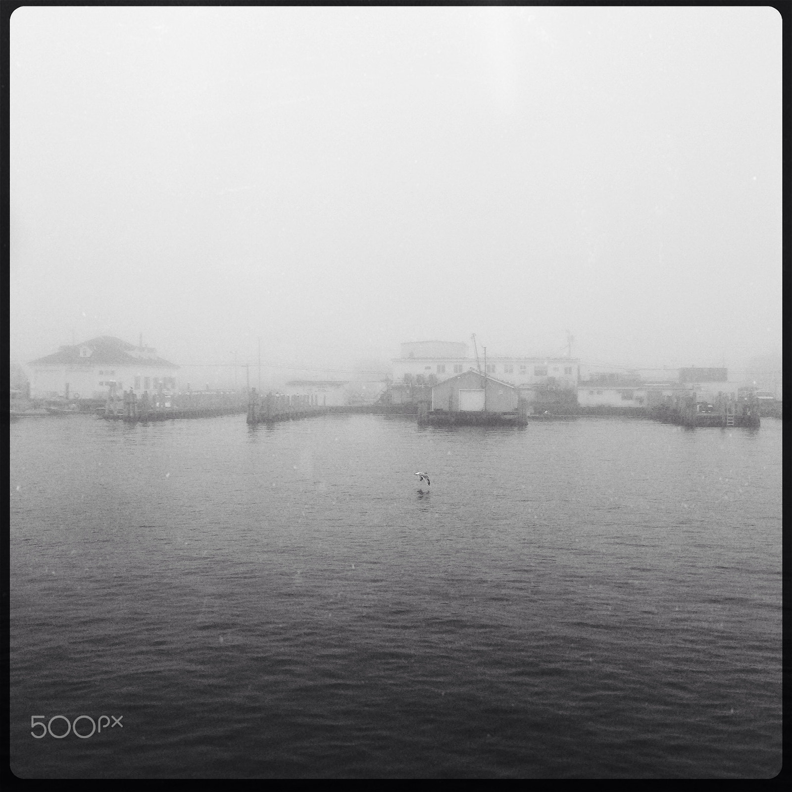 Hipstamatic 277 sample photo. Fog! photography